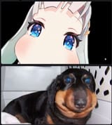 1731881005294019