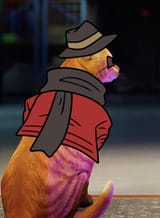 20250321_172229