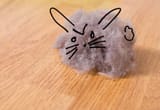dust bunny