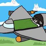 niniplane