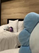 1946058829407584398_1