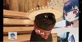 Screenshot 2025-07-18 at 13-38-29 Kitanya_Is_Here - Twitch