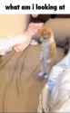caption_thumb.jpg