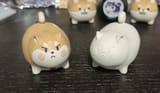 New Shibe - Painted and Unpainted