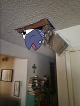 dfg56sjdg54