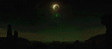 tumblr_olsro88p3c1v48w4qo1_500