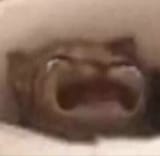 waaaaah