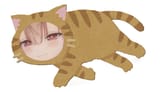 nasacat