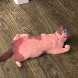 GsEURKkWwAAyOwv