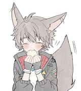 foxdola