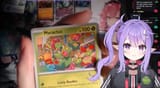 Pokemon elf