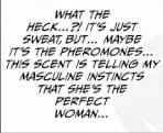 the perfect woman