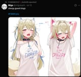 FWMCsexRT 