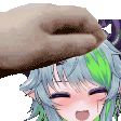 Pet