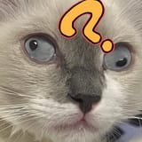 john confused