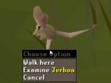RuneLite_YWNkGRMGh6
