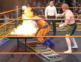 FIRE