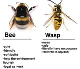 GwQ4L21XwAAKYTo