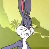 bbunny