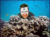 Underwater_Ray_Romano