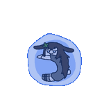 shrimpspinner