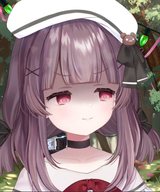 66222216