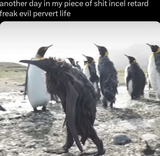 1753091028081