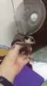 1722355509910107_thumb.jpg