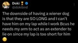 DAD long boi