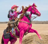 western horse
