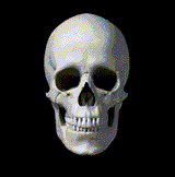 484c4363b3c9f7ee523981562d67dcd6daa535f917455fd60ef0087fc998ed12