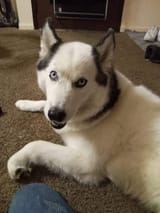 [twitter] RustyShuck651—2025.07.21—1947350592092873135—GwZhCt7WUAA7Hdw