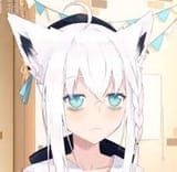 fubukieyebags