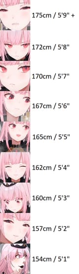 mori preferences