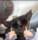 1748217478700208