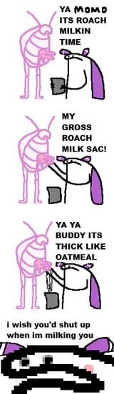 MataMilkin