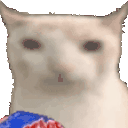 veryCat