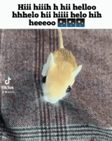 hihihihihihihihihihihihihihihihihihihi