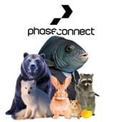 phase_real
