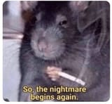 nightmare rat