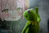 I_miss_Peke
