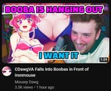boobaconn;or