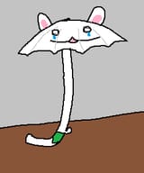 unbrella champ