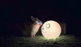 champy moon and kiki that face