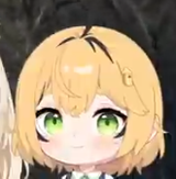 whydoes