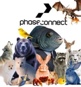 phase_real