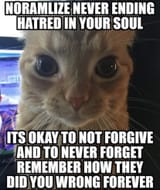 Normalize Hatred 3