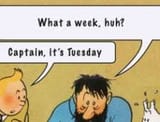 tuesday