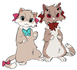 neuro cats