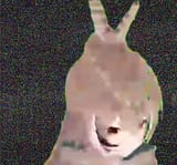 1753173846460